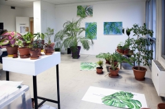 patricia cartereau, résidence artiste, plantes