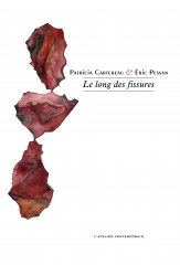 patricia cartereau, eric pessan, le lond des fissures, livre, éditions l'arelier contemporain